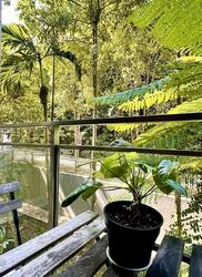 The Foresta @ Mount Faber (D4), Condominium #630666091